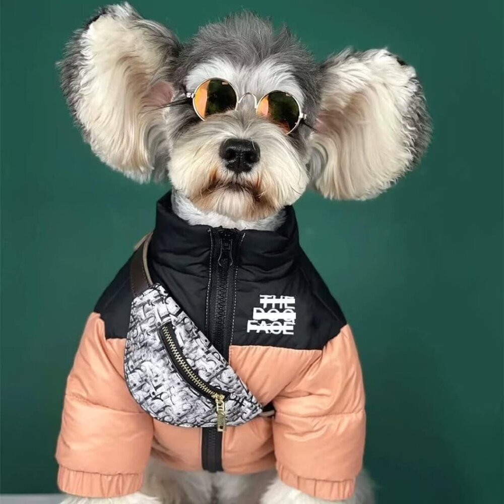Dog Winter Coat